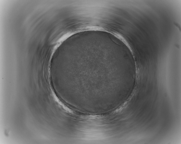 X0000102381381200808291351