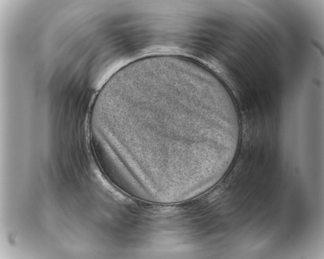 X0000102381382200808291351