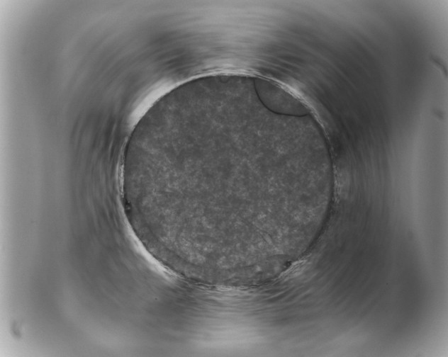 X0000102381383200808291351