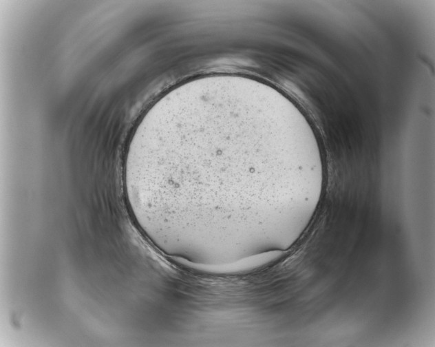 X0000102381384200808291351