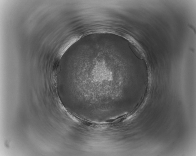 X0000102381385200808291351