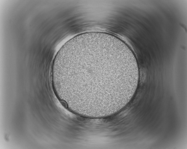 X0000102381387200808291351