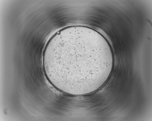 X0000102381388200808291351