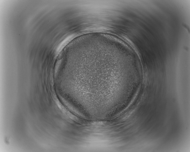 X0000102381389200808291351