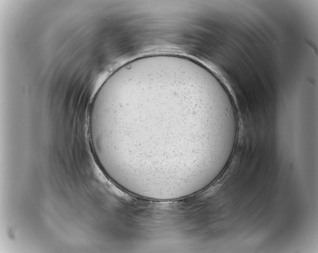 X0000102381390200808291351