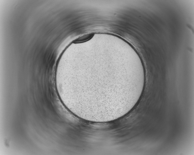 X0000102381392200808291351