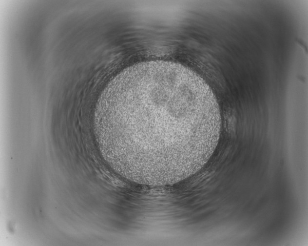 X0000102381393200808291350