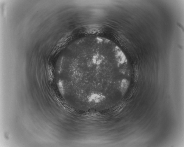 X0000102381394200808291350