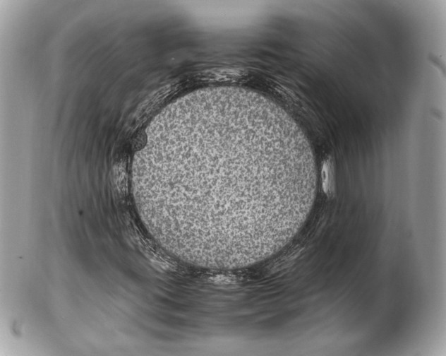 X0000102381395200808291350