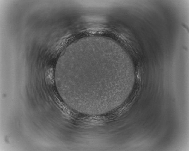 X0000102381396200808291350