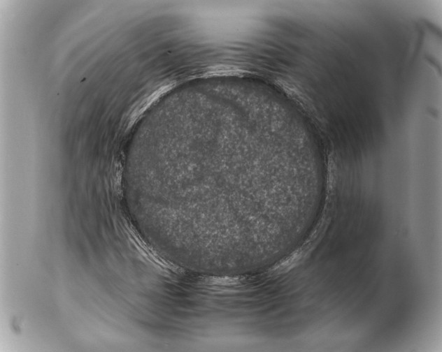 X0000102381401200808291350