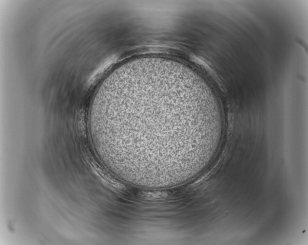 X0000102381403200808291351