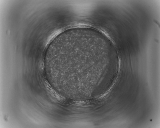 X0000102381405200808291351