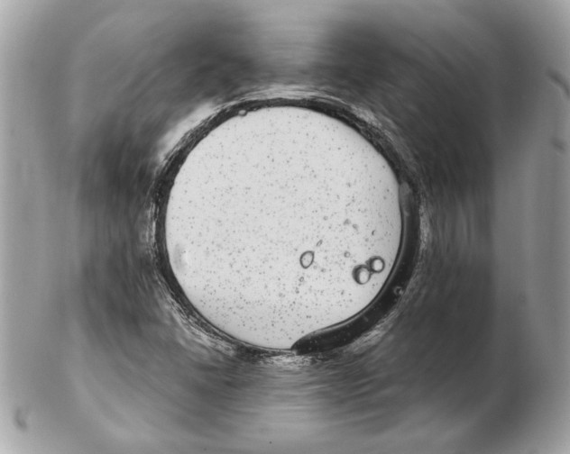 X0000102381406200808291351