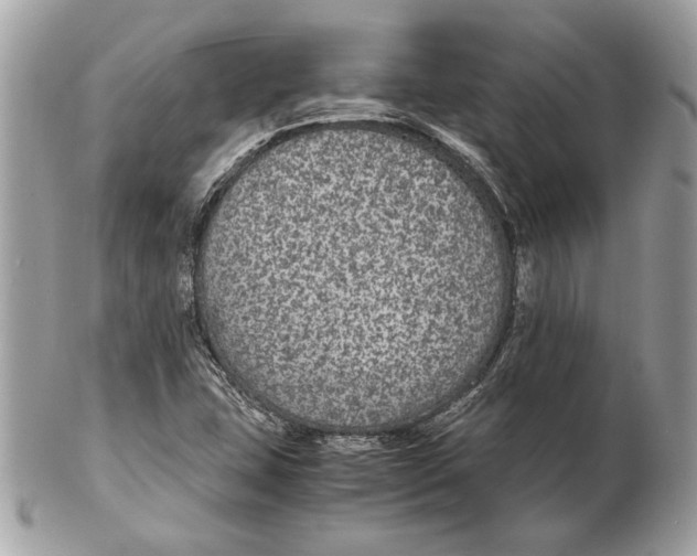 X0000102381407200808291351