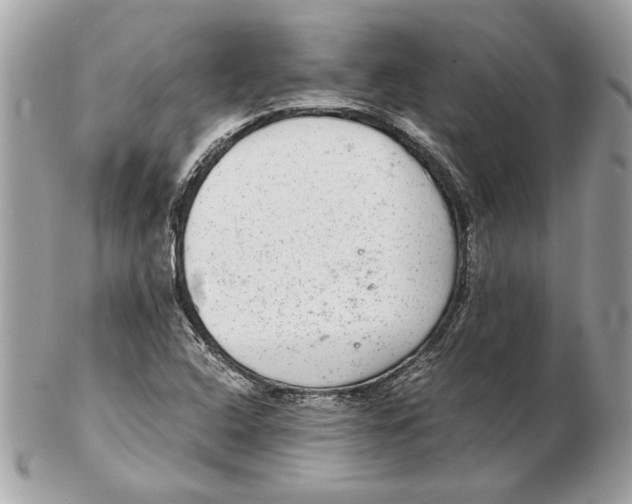 X0000102381408200808291351