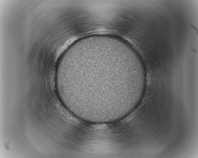 X0000102381410200808291351