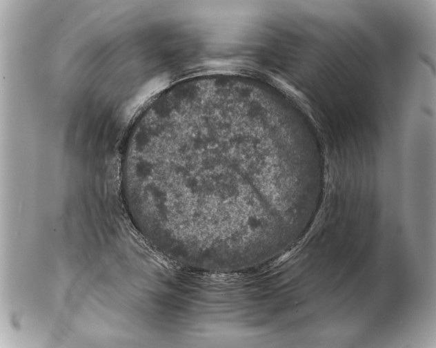 X0000102381411200808291351