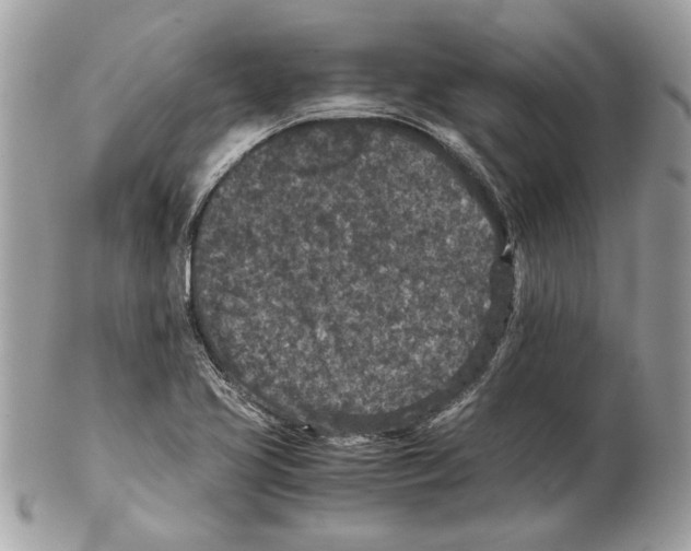 X0000102381413200808291351