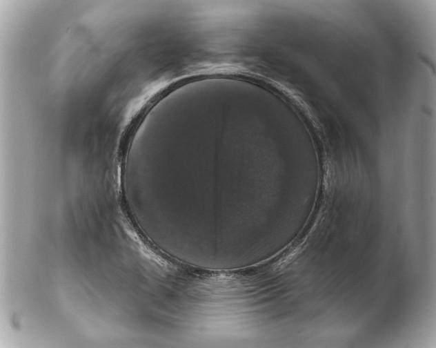 X0000102381414200808291351