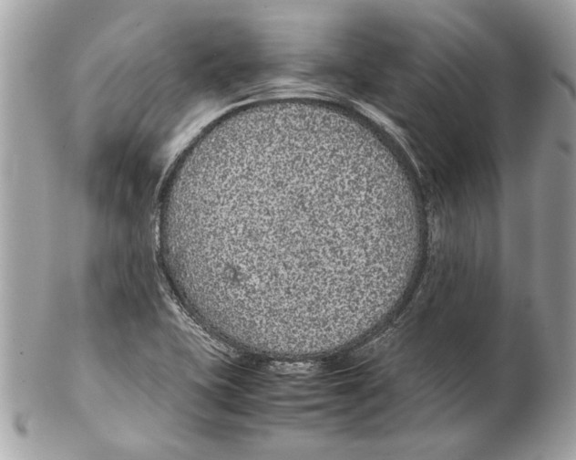 X0000102381415200808291351