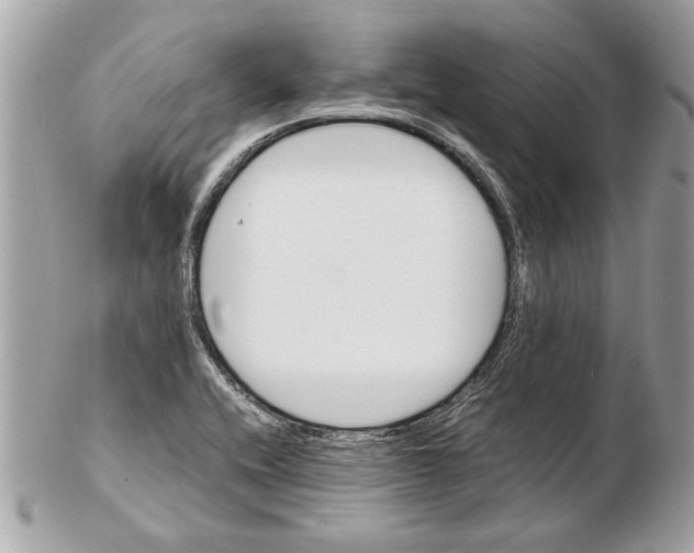 X0000102381416200808291351