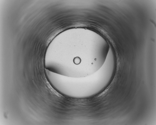 X0000102381417200808291351