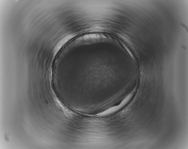 X0000102381418200808291351