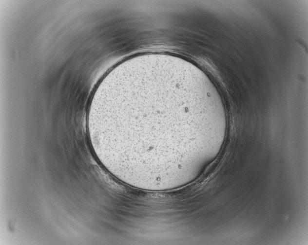 X0000102381420200808291351