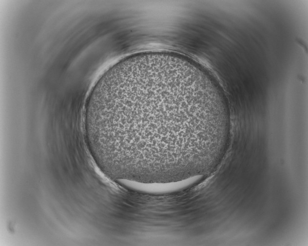 X0000102381421200808291351