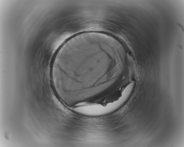 X0000102381422200808291351