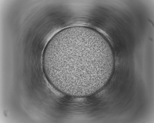 X0000102381423200808291351