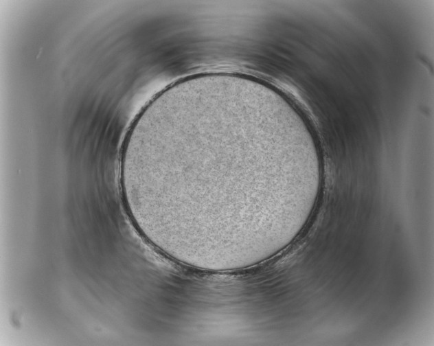 X0000102381424200808291351