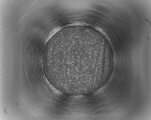 X0000102381425200808291351