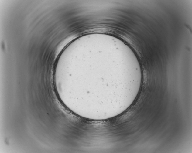 X0000102381426200808291351