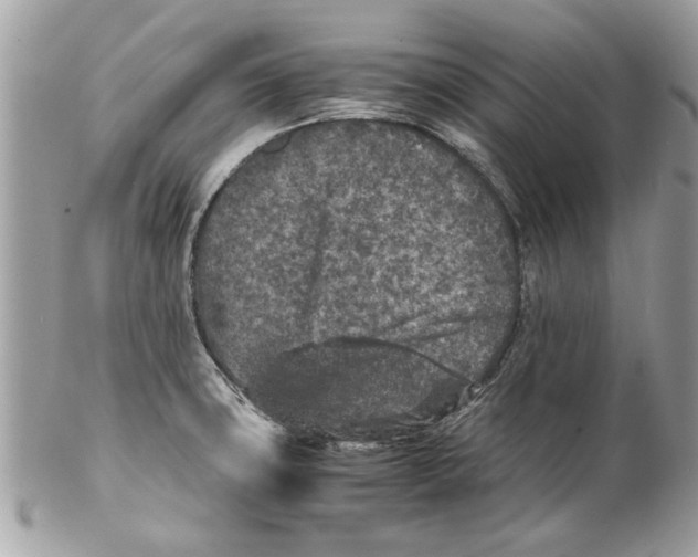 X0000102381427200808291351