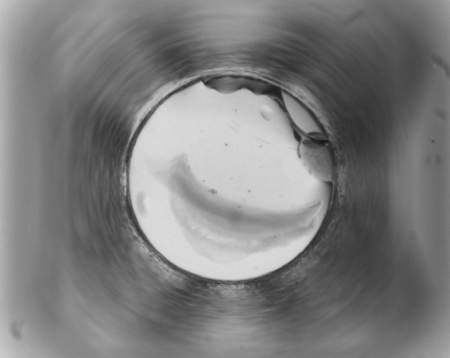 X0000102381428200808291351