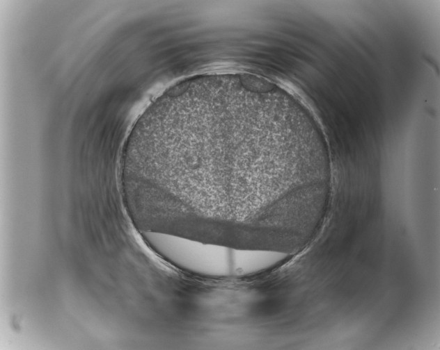 X0000102381429200808291351