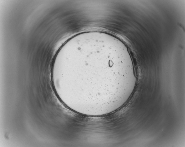 X0000102381430200808291351