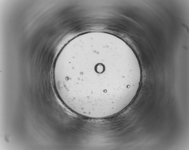 X0000102381432200808291351