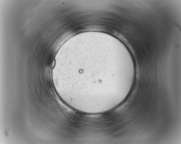 X0000102381433200808291351