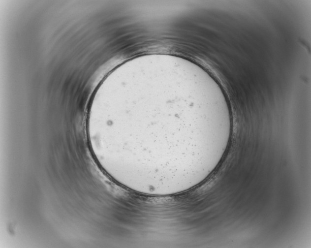 X0000102381434200808291351