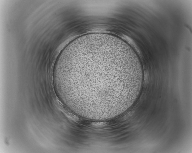 X0000102381435200808291351