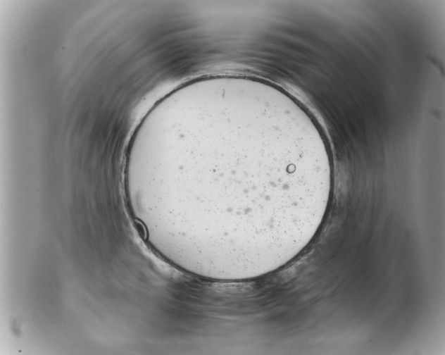 X0000102381437200808291351