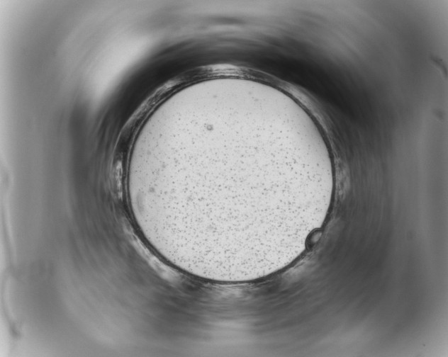 X0000102381438200808291351