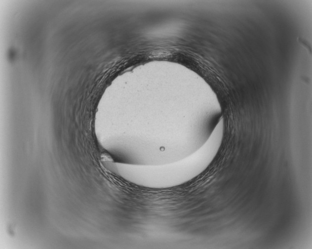 X0000102381441200808291350