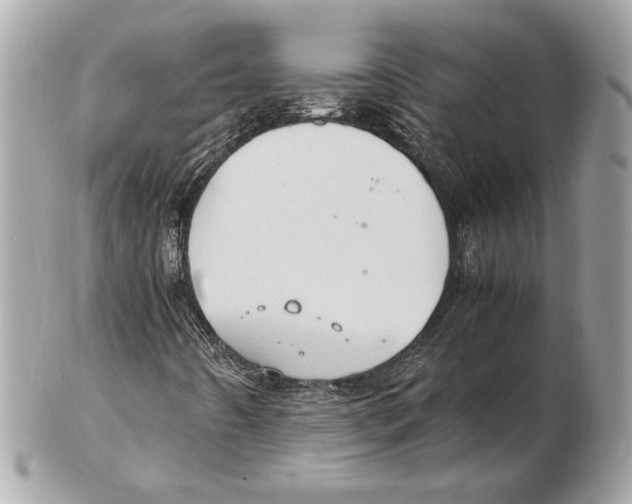 X0000102381442200808291350