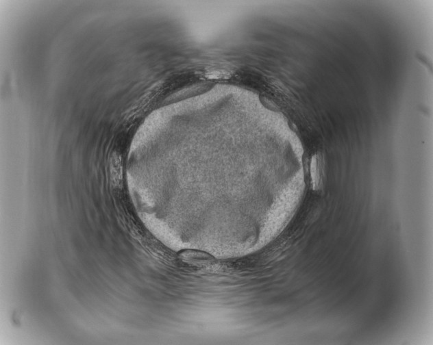 X0000102381443200808291350