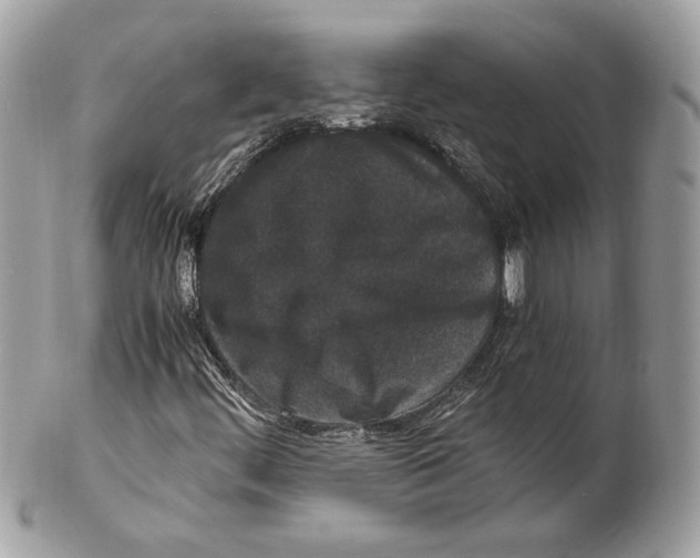 X0000102381444200808291350