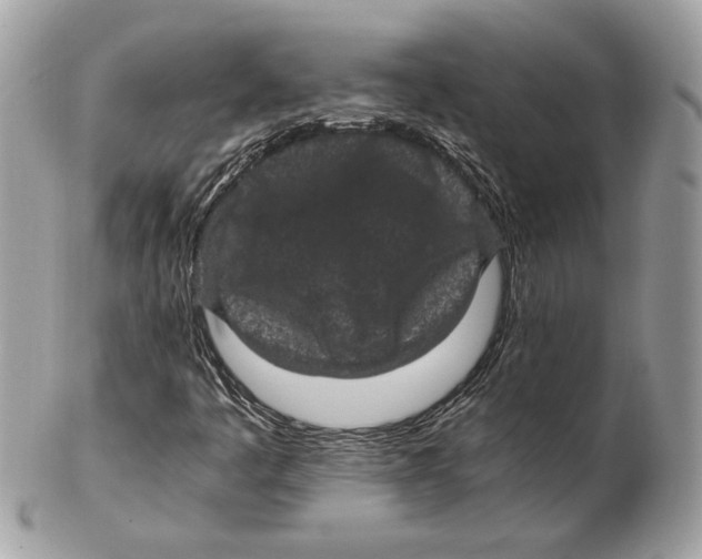 X0000102381445200808291350